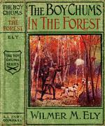 [1910] The Boy Chums in the Forest, or Hunting for Plume Birds in the Florida Everglades