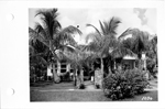 [1949] Salzedo Street, Coral Gables, Florida