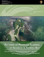 Patterns of Propeller Scarring of Seagrass in Florida Bay