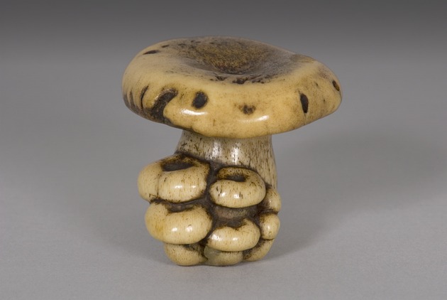 Netsuke: mushroom - artifact front view