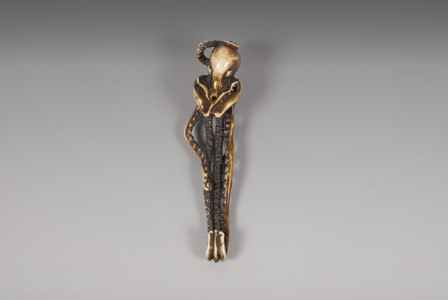 Sashi netsuke: octopus ghost - artifact front view