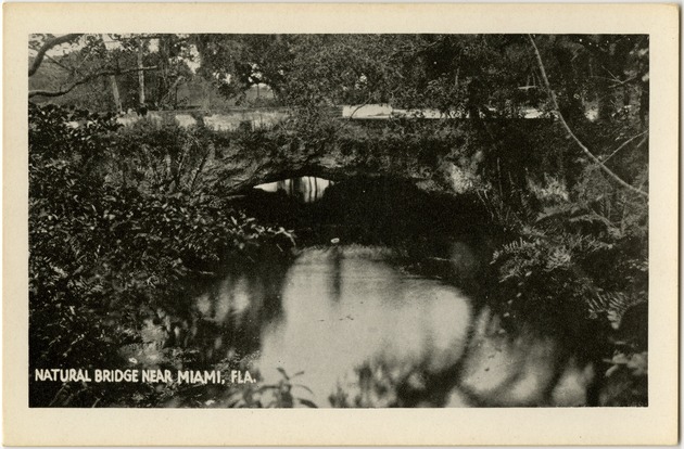 Natural bridge near Miami, Fla.