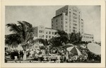 [1923] Oriental tea gardens, Flamingo Hotel, Miami, Fla