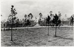 [1922] Country Club Prado Entrance under construction, Coral Gables, Florida