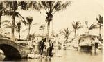 Four men at the Venetian Pool. Coral Gables, Florida