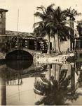 Venetian Pool. Coral Gables, Florida