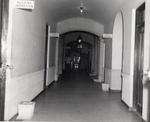 [1952-08-07] Coral Gables City Hall: hallway. Coral Gables, Florida