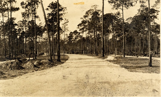 Site of Ponce de Leon entrance or Douglas entrance before development. Coral Gables, Florida - Recto