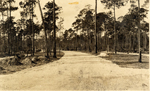 Site of Ponce de Leon entrance or Douglas entrance before development. Coral Gables, Florida