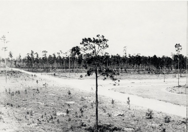 Site of Coral Gables Country Club before development. Coral Gables, Florida - Recto