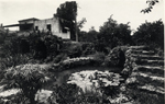[1926-07-10] George Merrick's house. Backyard pond with lily pads. Coral Gables, Florida