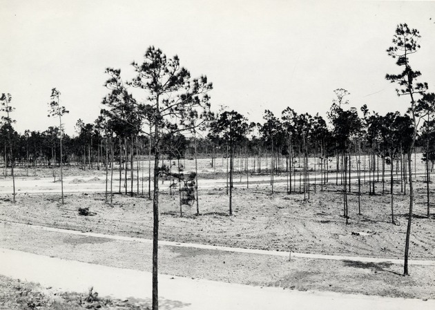 Country Club of Coral Gables site before construction. Coral Gables, Florida - Recto