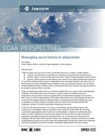 [2011] Managing uncertainty in adaptation
