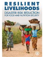 [2011-11] Resilient livelihoods