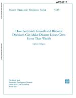 How economic growth and rational decisions can make disaster losses grow faster than wealth