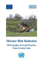 [2006] Disaster risk reduction