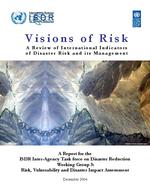 Vision of risk