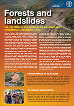 Forests and landslides