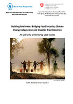 Building Resilience: Bridging Food Security, Climate Change Adaptation and Disaster Risk Reduction