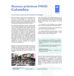 [2011] Buenas prácticas PNUD Colombia: prevención y atención de desastres en Bogotá