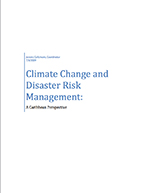 [2009-07] Climate change and disaster risk management