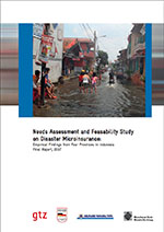 Needs assessment and feasibility study on disaster microinsurance