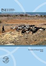 The economics of climate change in Kenya
