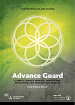 [2009] Advance guard