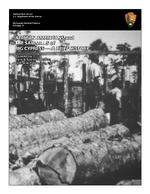 [2001/2002] AFRICAN AMERICANS and THE SAWMILLS of BIG CYPRESS - A BRIEF HISTORY