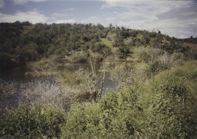 Landscape of Guantanamo Bay 1