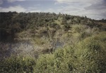 [1995-09/1996-01] Landscape of Guantanamo Bay 2