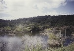 Landscape of Guantanamo Bay 3