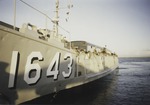 Guantanamo Bay Naval Base 19