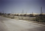 Tents, Guantanamo Bay Naval Base 2