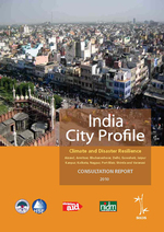 [2010] India city profile