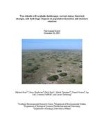 [2005-12-30] Tree Islands in Everglades Landscapes: Current Status, Historical Changes, and Hydrologic Impacts on Population Dynamics and Moisture Relations, First Annual Report