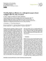 Modeling light use efficiency in a subtropical mangrove forest equipped with CO2 Eddy Covariance