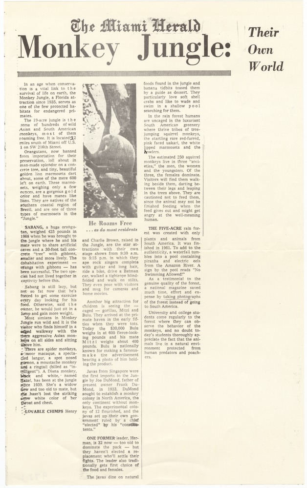 Miami's Monkey Jungle and Parrot Jungle documents and photographs - Clipping, verso: Monkey Jungle