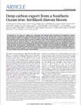 Deep carbon export from a Southern Ocean iron-fertilized diatom bloom