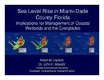 Sea Level Rise in Miami-Dade County Florida