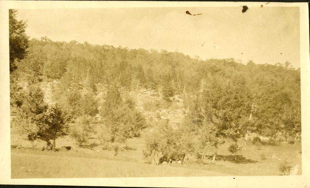 Near Nashville, Tennessee