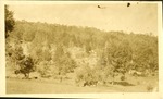 Near Nashville, Tennessee