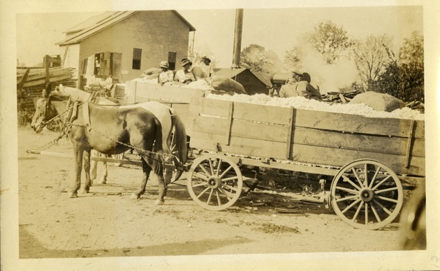 Cotton mill and wagon load, GA