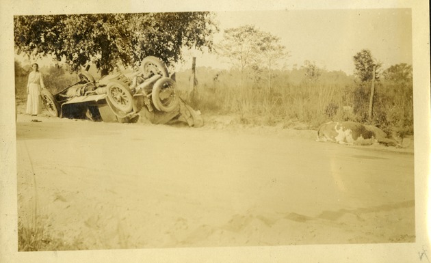 Cadillac crash and cow, GA