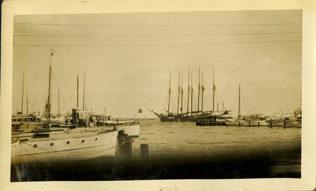 Yachts in Miami Harbor
