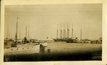 Yachts in Miami Harbor