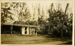 Plymouth Church, Coconut Grove Miami  - Plymouth Congregational Church