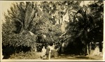 Plymouth Church, Coconut Grove Miami  - Plymouth Congregational Church