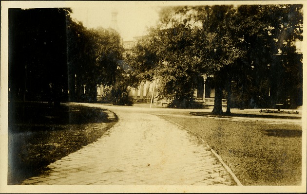 Plaut Hotel - Hotel driveway