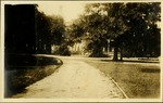 Plaut Hotel - Hotel driveway